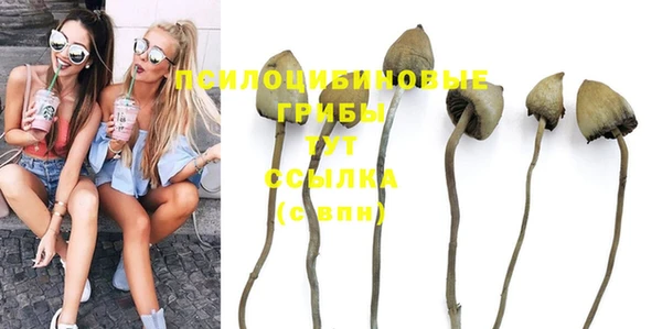 таблы Алексеевка