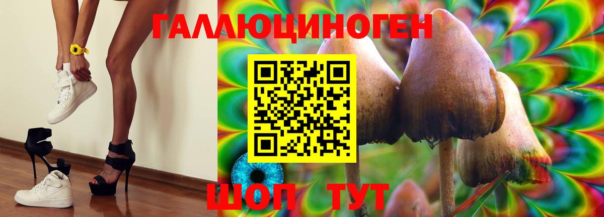 цена   Галлюциногенные грибы Magic Shrooms  Вход с VPN  Псилоцибиновые грибы мицелий  Воткинск 